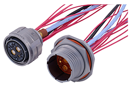 Featured image for “Amphe-Lite Quadrax”